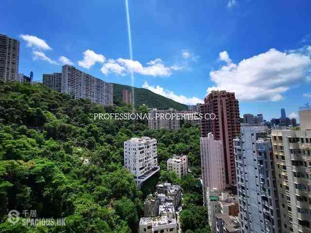 跑马地 - 纪云峰 18