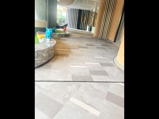 Shau Kei Wan - Lime Gala Block 2 11