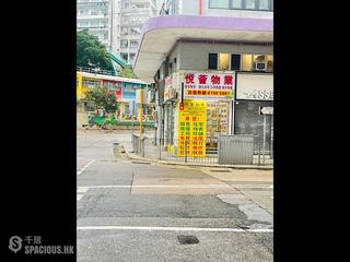 Shau Kei Wan - Island Garden Block 2 12