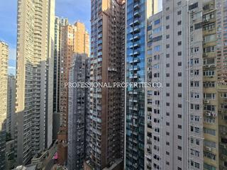 中半山 - 高云台 11