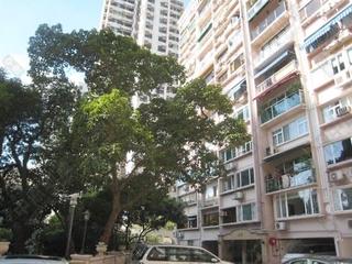 Mid Levels West - Greenview Gardens 03