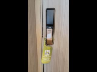 Shau Kei Wan - Lime Gala Block 1A 09