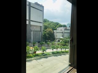 Shau Kei Wan - Island Garden 02
