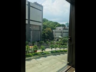 Shau Kei Wan - Island Garden 09