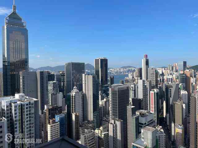 湾仔 - 禧汇2期 13