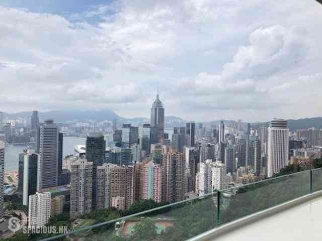 東半山 - 峰景花园 43