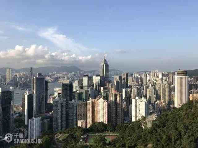 東半山 - 峰景花园 49