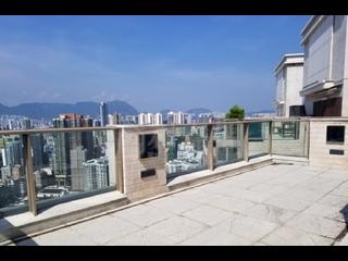 油麻地 - 御金·国峯5座 10