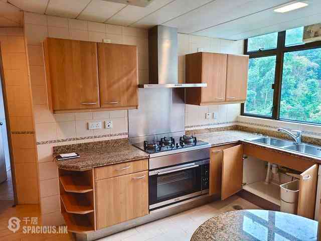 Mid Levels Central - Fairlane Tower 07