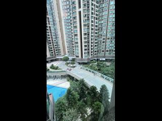 Shek Tong Tsui - The Belcher's 08