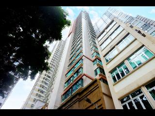 Mid Levels Central - Peach Blossom 02