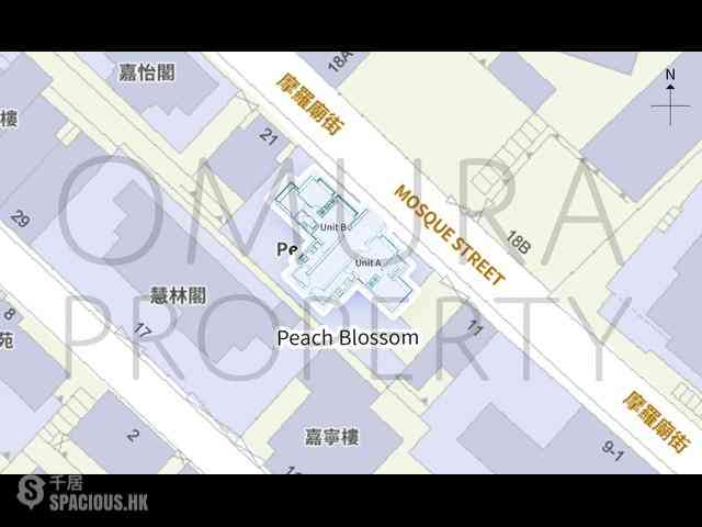 Mid Levels Central - Peach Blossom 03