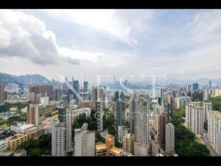 Tai Hang - The Signature 02