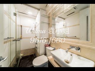 Tai Hang - The Legend 08