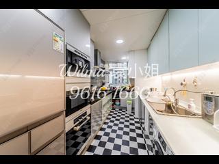 Tai Hang - The Legend 14