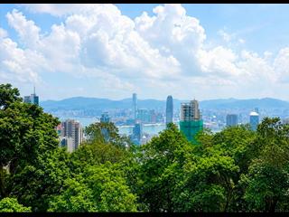 The Peak - Barker Villa 02