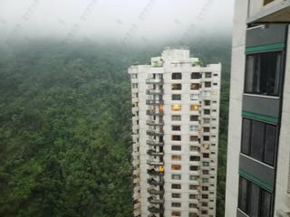 中半山 - 地利根德阁3座 32