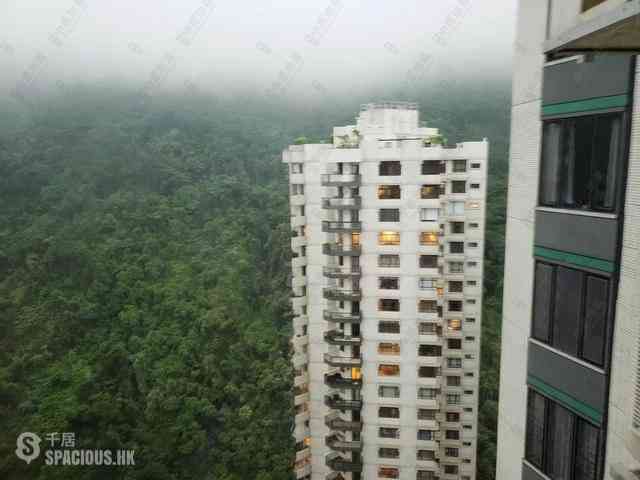 Mid Levels Central - Tregunter Tower 3 32