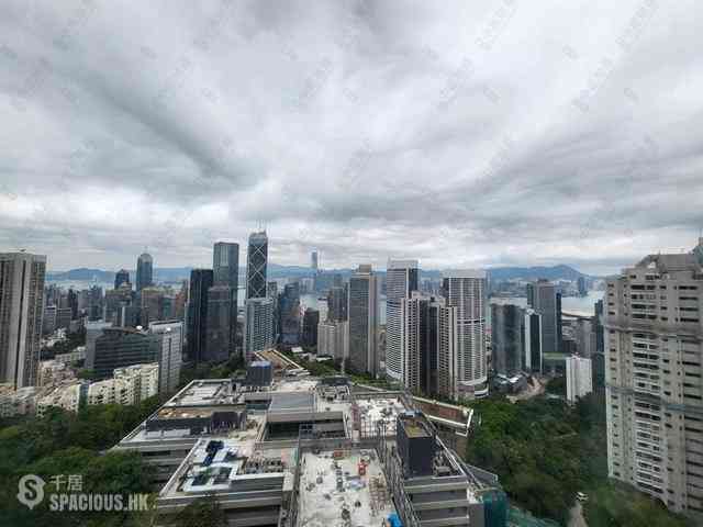 中半山 - 21 Borrett Road 1號及2號 09