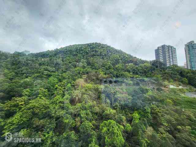 中半山 - 21 Borrett Road 1號及2號 25