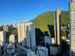 坚尼地城 - Lexington Hill 02