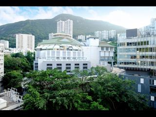 Happy Valley - Eight Kwai Fong Happy Valley 20