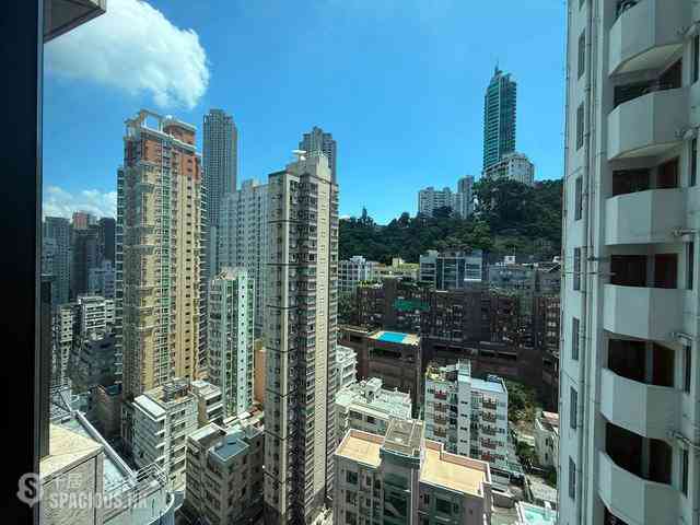 Happy Valley - Eight Kwai Fong Happy Valley 08