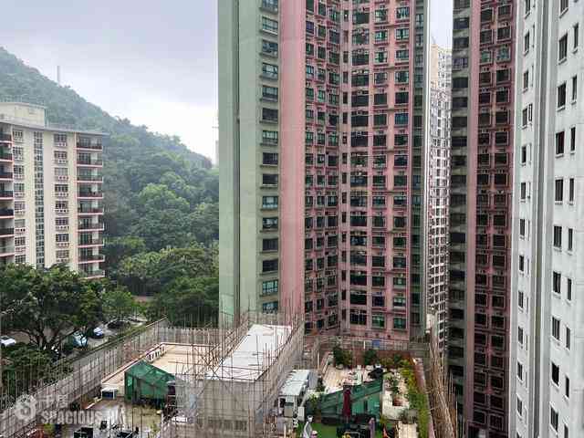 Mid Levels Central - Valiant Park 02