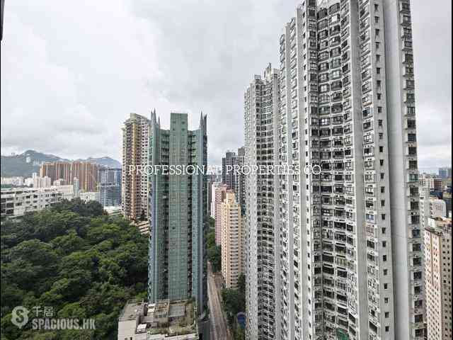 大坑 - 帝后台 04