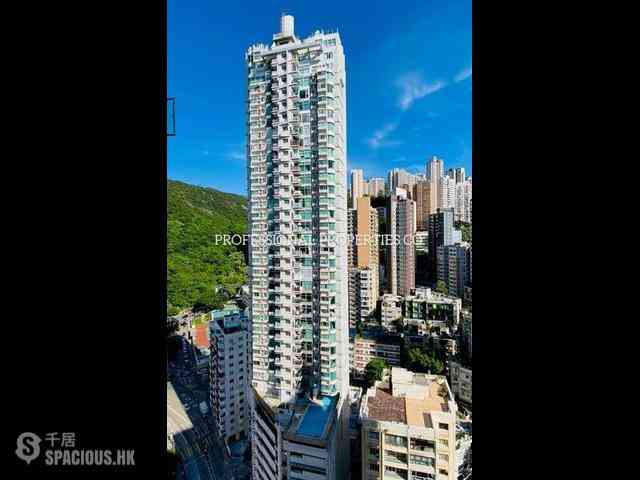 大坑 - 帝后台 13