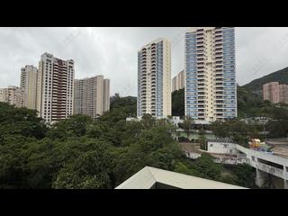 Tai Hang - Jardini 05