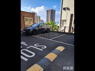 寶馬山 - 海景台 11