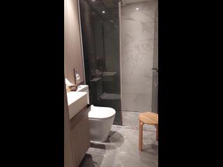 Shau Kei Wan - Lime Gala 02