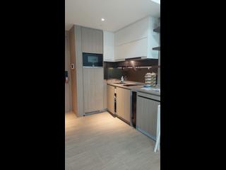 Shau Kei Wan - Lime Gala 03