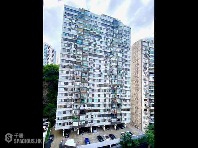 大坑 - 柏园 11
