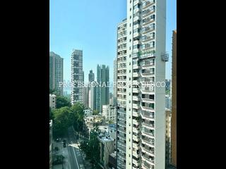 Tai Hang - Avalon 12