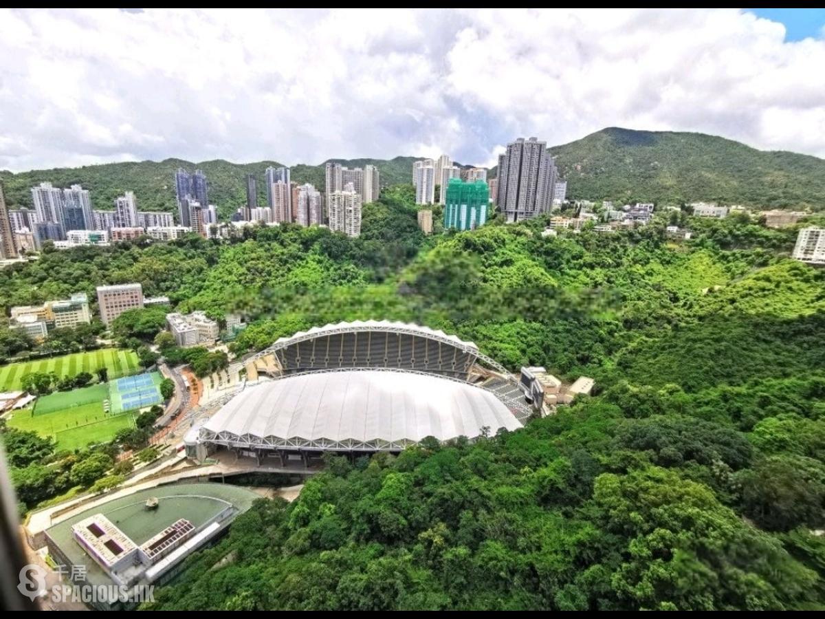 跑马地 - 乐翠台 01