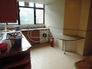 Mid Levels Central - Fairlane Tower 04