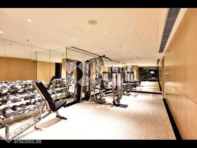 Mid Levels Central - 3, MacDonnell Road 03