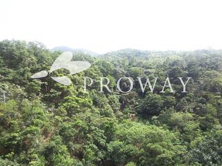 Tai Tam - Hong Kong Parkview 02