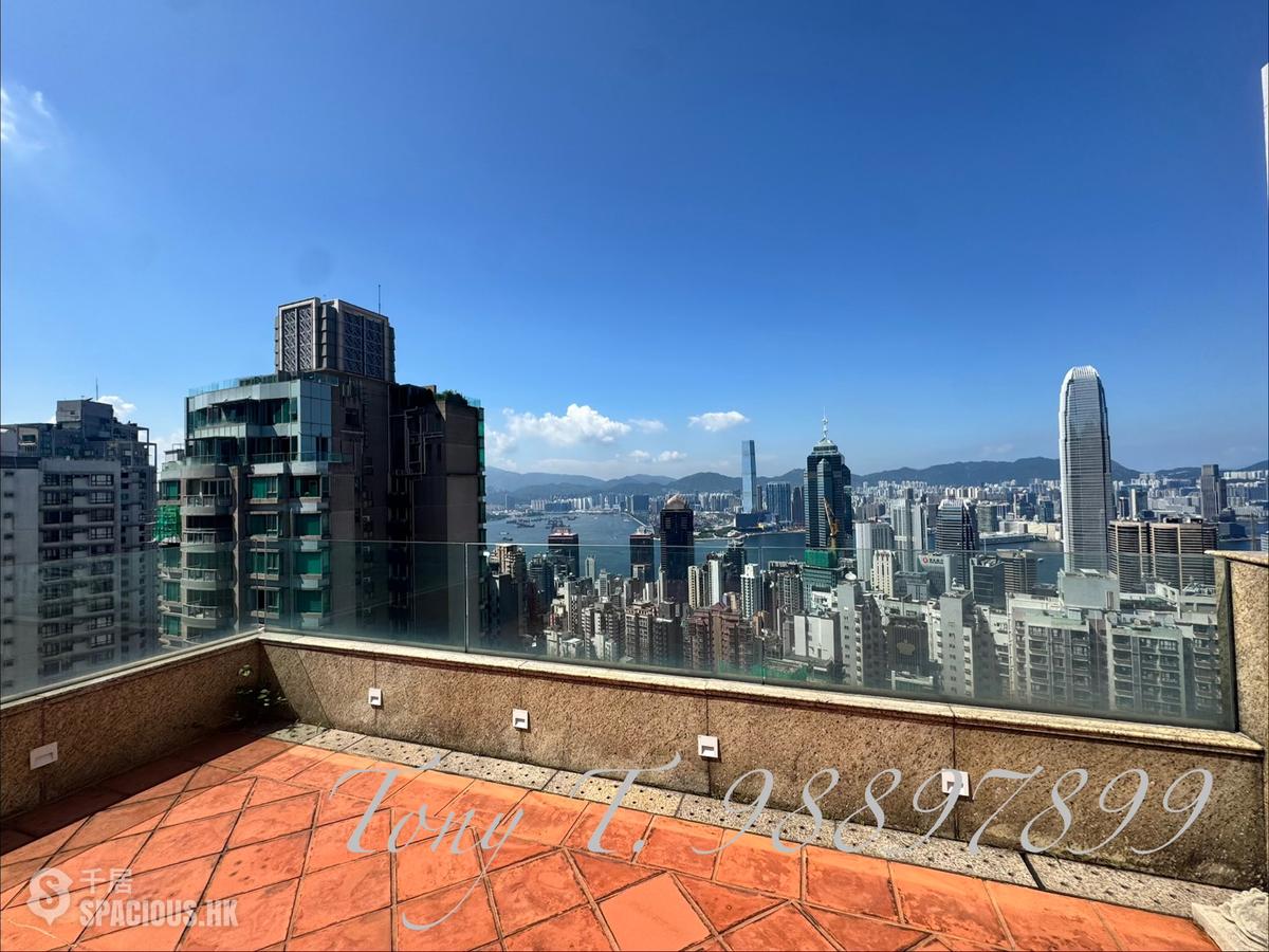 中半山 - 麗豪閣B座 01