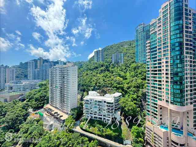 Mid Levels Central - Birchwood Place 02