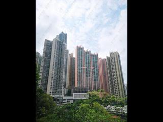 中半山 - 帝景園1座 07