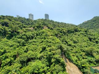 Mid Levels East - Grandview Tower 13