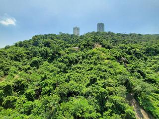 東半山 - 慧景台 11