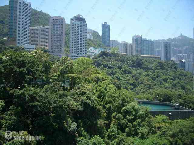 東半山 - 萬信台 01