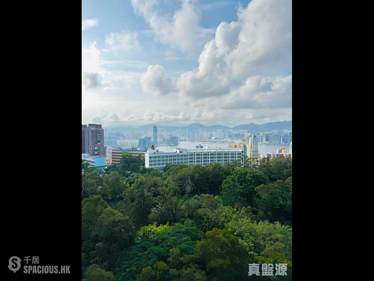 寶馬山 - 賽西湖大廈 01