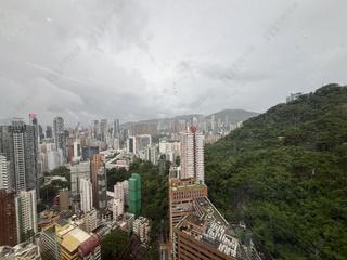 東半山 - 竹林苑74号 08