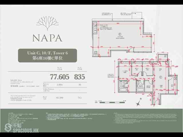 黄金海岸/扫管笏 - NAPA 09