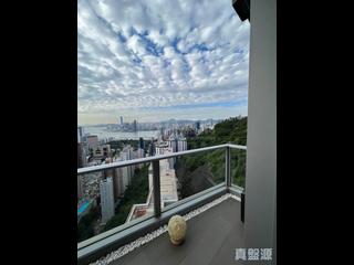 大坑 - 上林 05